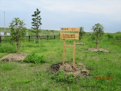 大平山霊園の記念樹