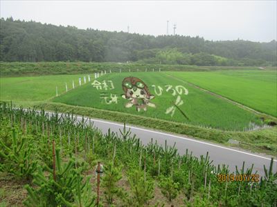 広野町 田んぼアート