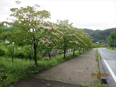 せせらぎ荘の付近