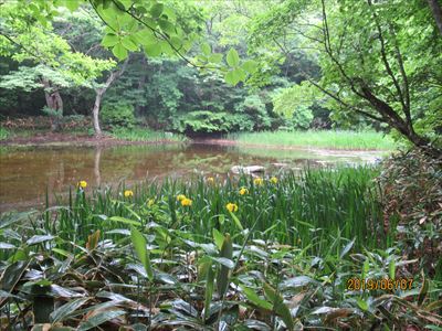 平伏沼の風景