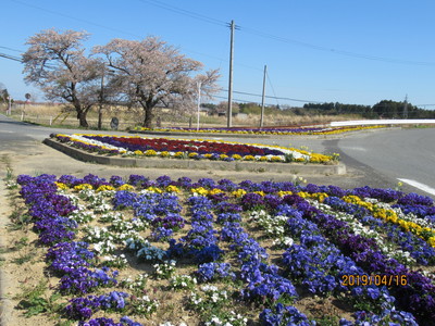 春の花と桜