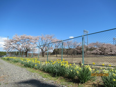 町営野球場