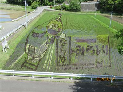 田んぼアート 