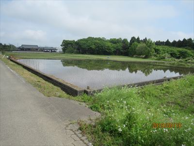 田植え状況