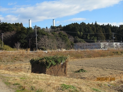 正月行事「鳥小屋」