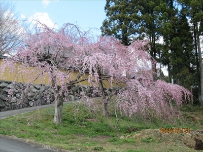 広野・小高線開通