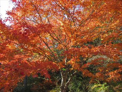 >岩井戸鉱泉