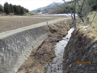 >野川川