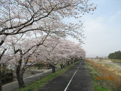 >請戸川リバーライン