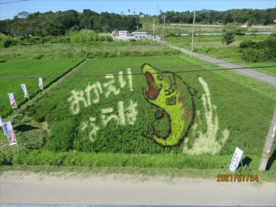 >楢葉町田んぼアート（3）